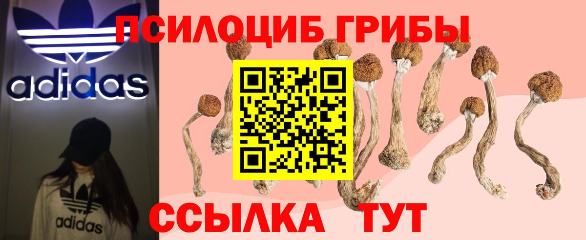Галлюциногенные грибы GOLDEN TEACHER  Псилоцибиновые грибы Magic Shrooms  Свободный  Вход с VPN 